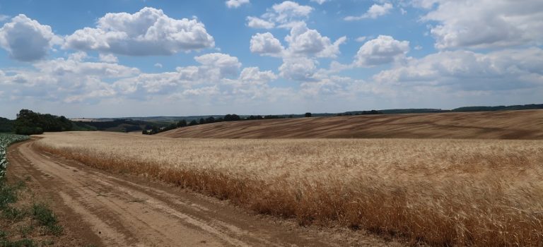 Desať odporúčaní pre poľnohospodárov na Slovensku